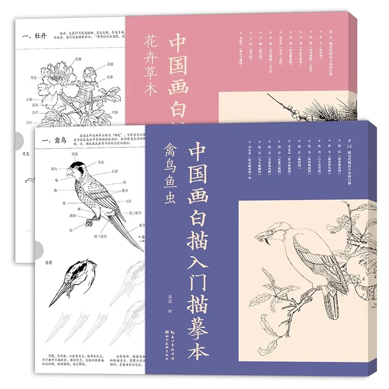 Chinese Ink Painting Practice Book: Beginner's Guide to Line Drawing (Birds Flowers & Plants) - Step-by-Step Tracing Sketchbook