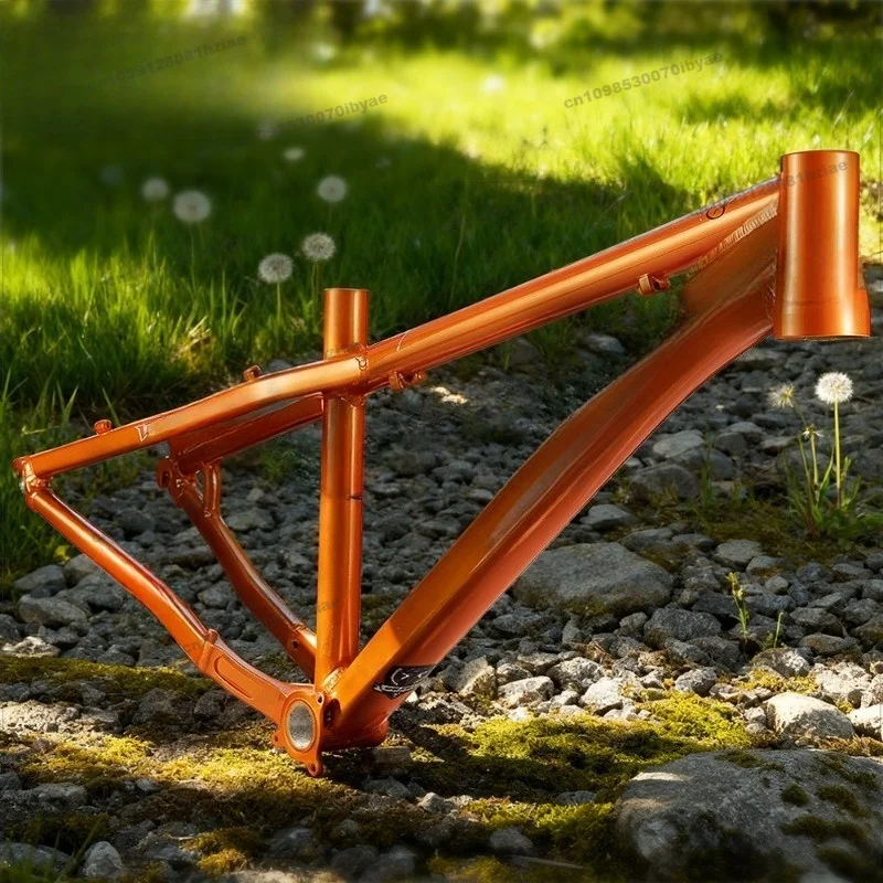 Frame Dirt Slope Frame 26/27.5 Inch Hardtail Bike Off-Road Mountain Bike Disc Brake Rack