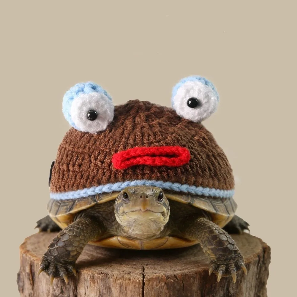 Warm Knitted Turtle Sweater Adjustable Strap Comfortable Fit Pet Tortoise Clothes Handmade Unique Small Animal Outfit view 2