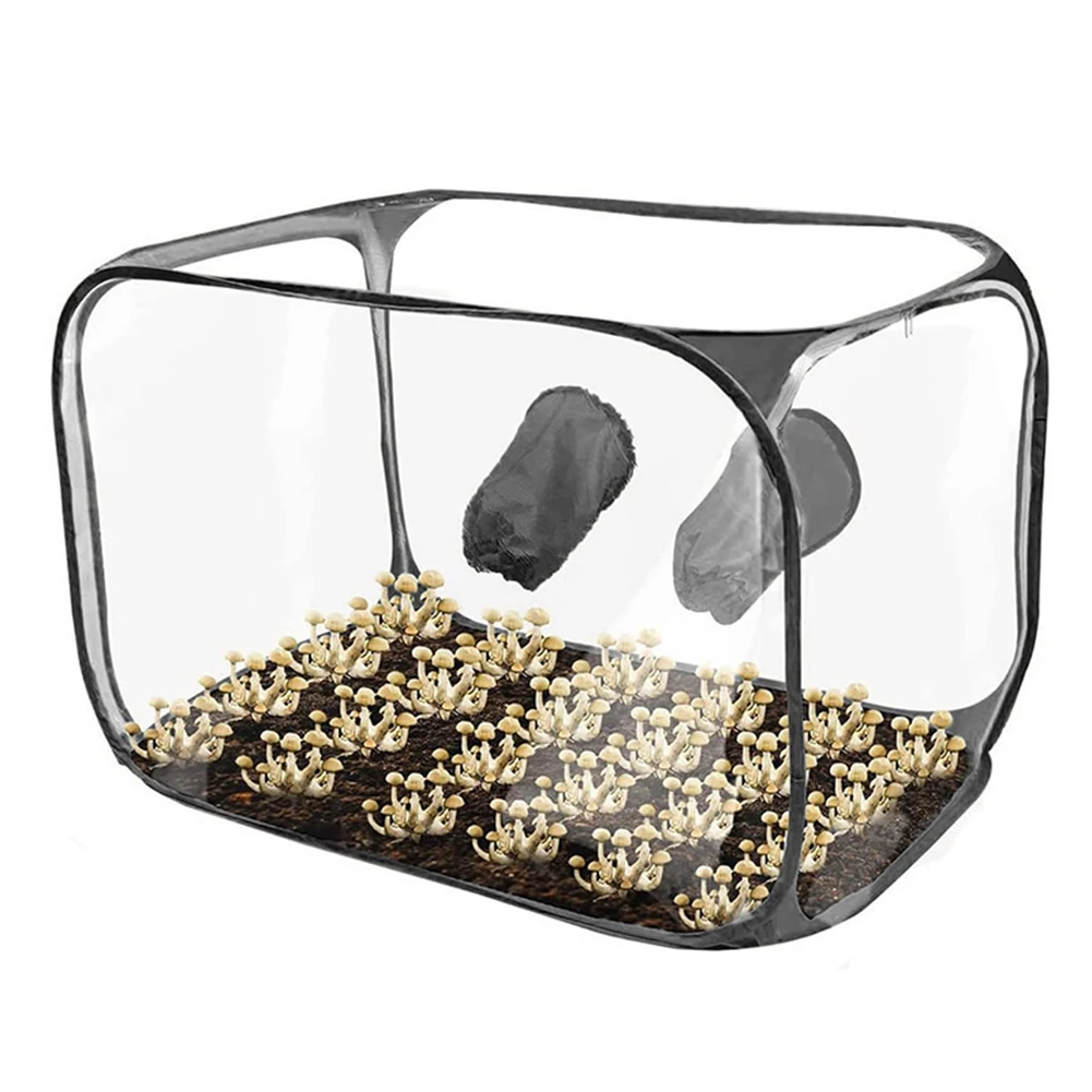 

Compact Air Box Mycology Box Mushroom Growing High Quality Plastic Professional Static Air Box Sterile Environment