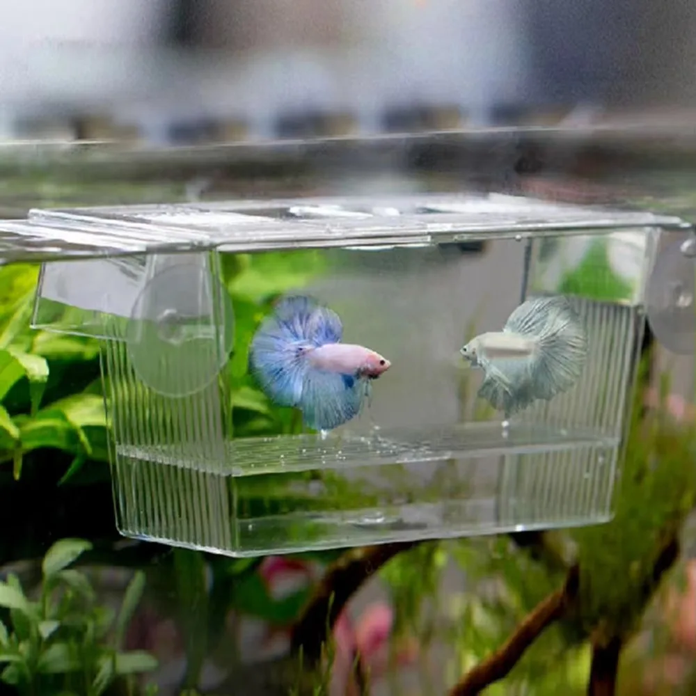Creative Acrylic Fish Tank Breeding Aquarium Incubator Breeder Isolation Box Fish Fry Grow Seedling Reproduction Holder Aquarium