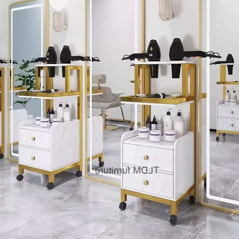 

light Luxury Salons Trolleys Beauty Salon Hair Salon Tool Trolley Creative Salon Furniture Multi-layer Storage Rack with Wheels