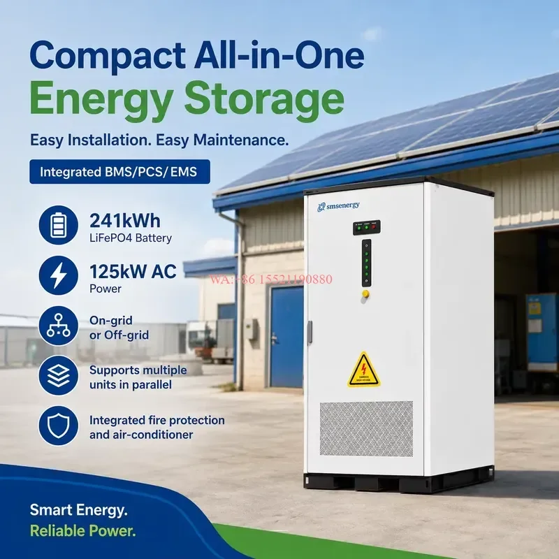WMWMNU 125kW 241kWh LiFePO4 Solar Diesel Energy Storage Cabinet for African Farm Processing Hub Grid Support for Commercial