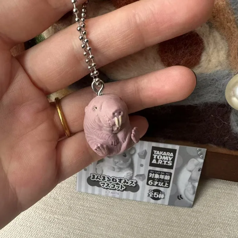 Round and Cute Animals Gashapon Toys Hedgehog Totoro Mole Anime Figure Model Ornaments Pendant Bulk Toys