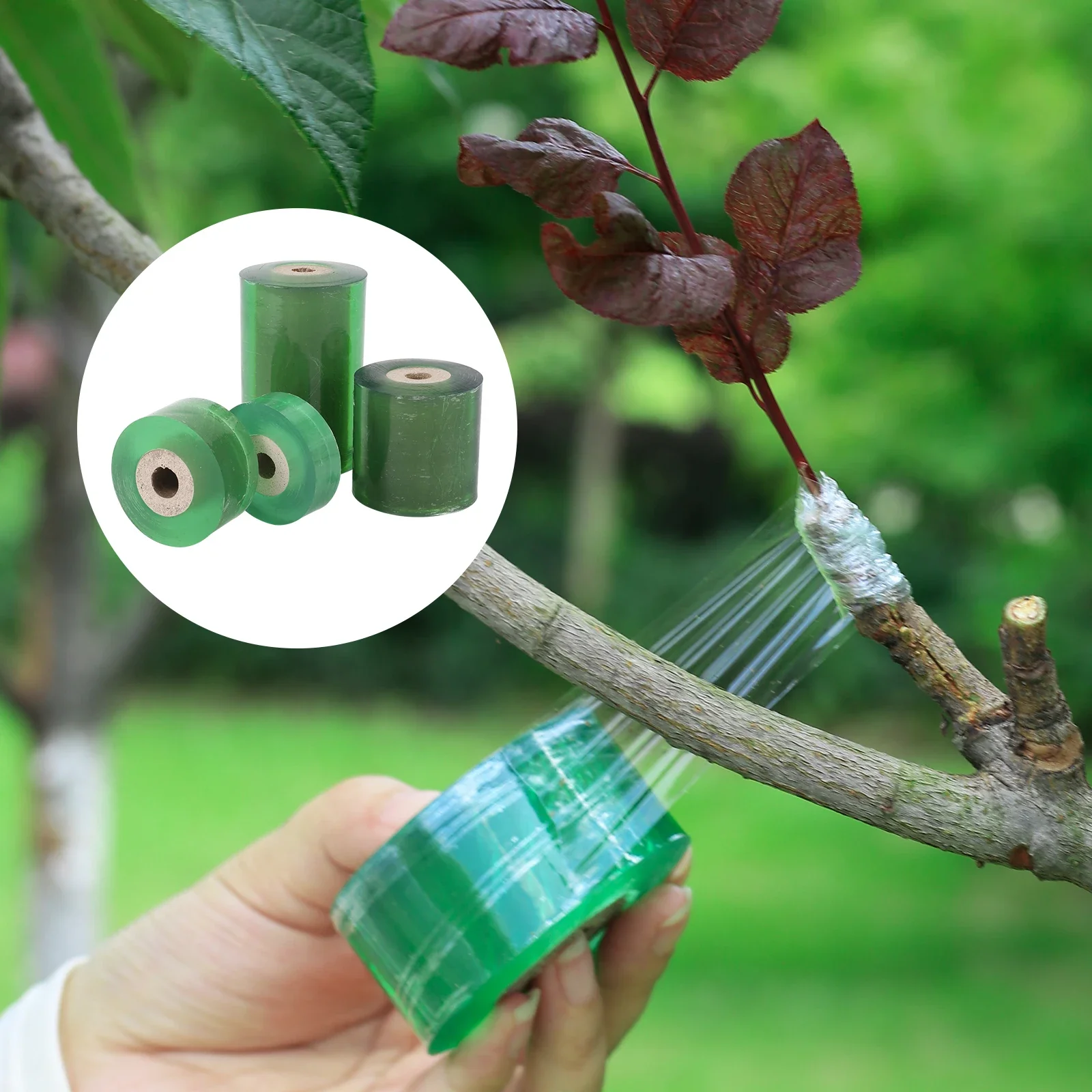 PE Grafting Tape Film Self-adhesive Garden Tree Plant Seedling Vine Tomato Grafting Accessories Stretchable 20/30/60/100mm Width