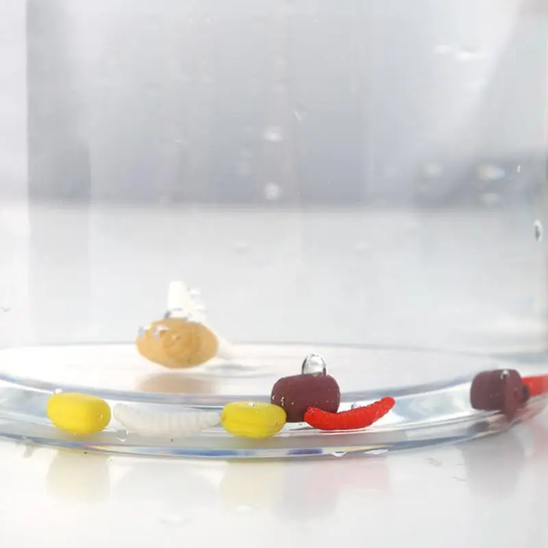 Pesca Kit Combater Box com Comprimidos, Pesca Iscas Bandeja, 20-Grid Kit Armazenamento