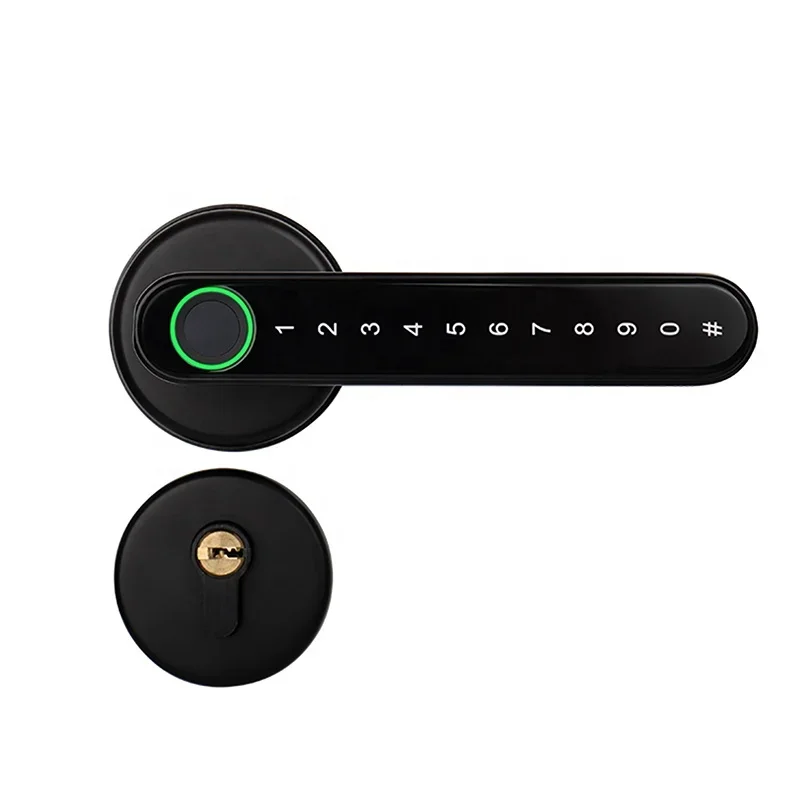 SK-204 2023 New Design Tuya App Smart Door Lock Sliver Smart Locks for Front Door Wi-fi Zigbee