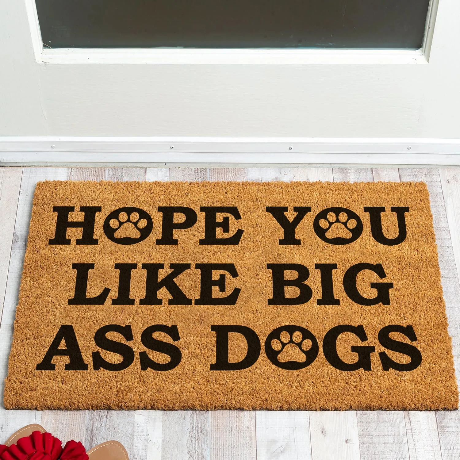 

Funny Coir Doormat Hope You Like Big Ass Dogs Welcome Front Porch Decor Doormat For The Entrance Way Indoor&Outdoor Personalized