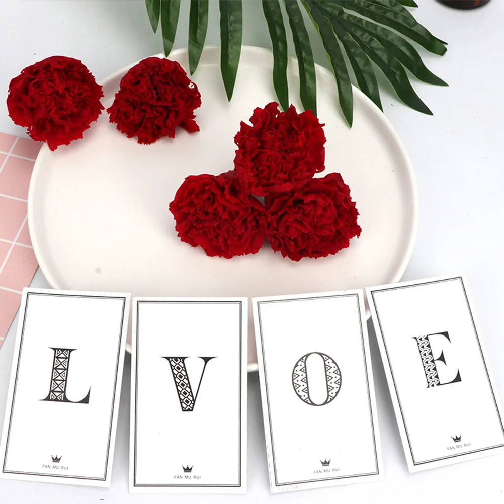 

Eternal Carnation Dried Natural Flower 4-5cm Forever Blooming Gifts for Valentines Day Mothers Day Romantic Decoration