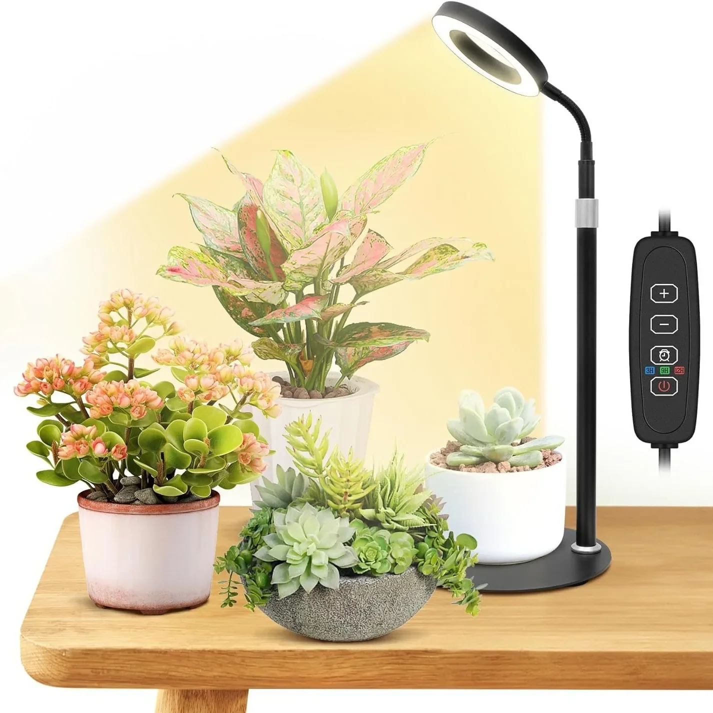 Imagem -04 - Levantamento Anjo Anel Crescimento Planta Luz Usb Micro Paisagem Preenchimento Luz Suculentas Flores e Plantas Plantação Interior 12w