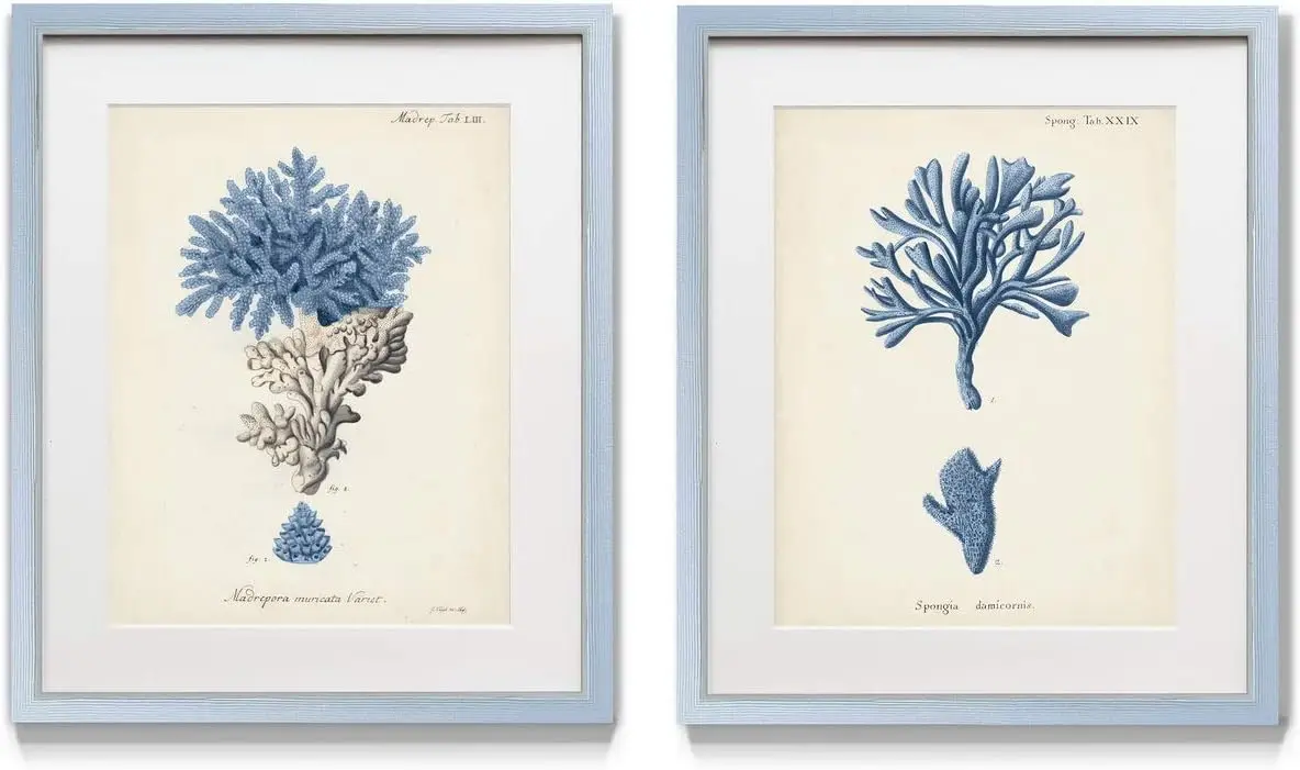 

Античный коралловый темно-синий набор произведений искусства в рамке, пара подводных океанских тематических работ, синий, современная серебряная рамка, белый коврик,