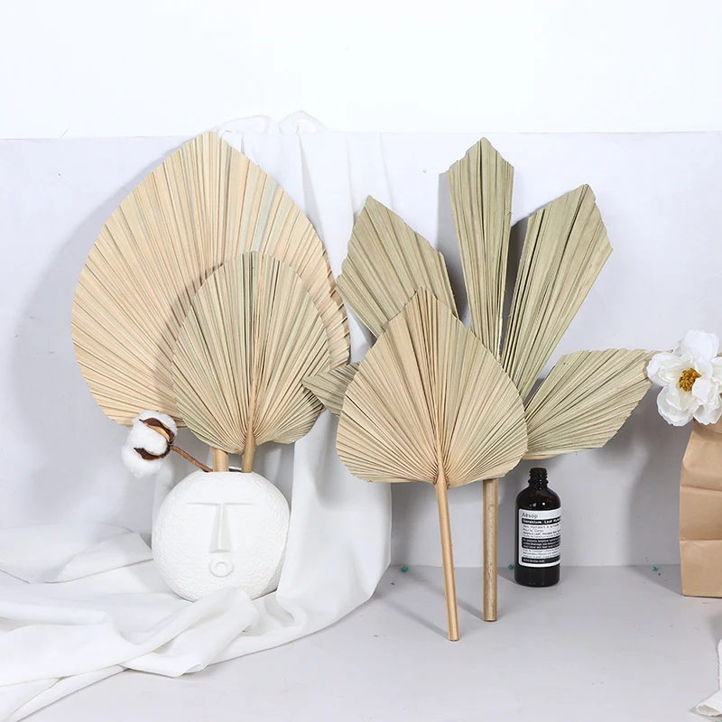 

Palm Fan Leaf Dried Flower Palm Leaf Party Decoration Wedding Summer Cool Fan