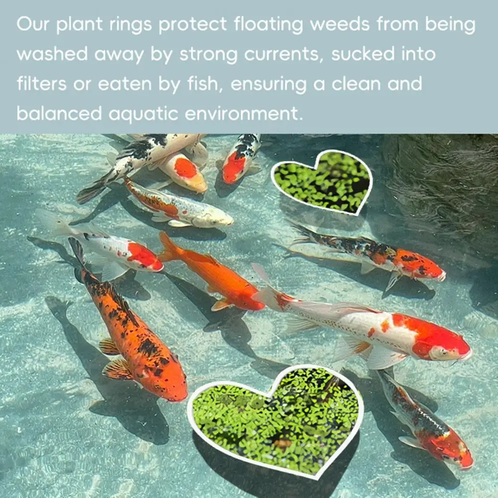 5Pcs Fish Feeding Rings Heart Shape Floating Plant Fence Aquarium Duckweed Protector Fish Tank Feeder Ring Betta Accessories