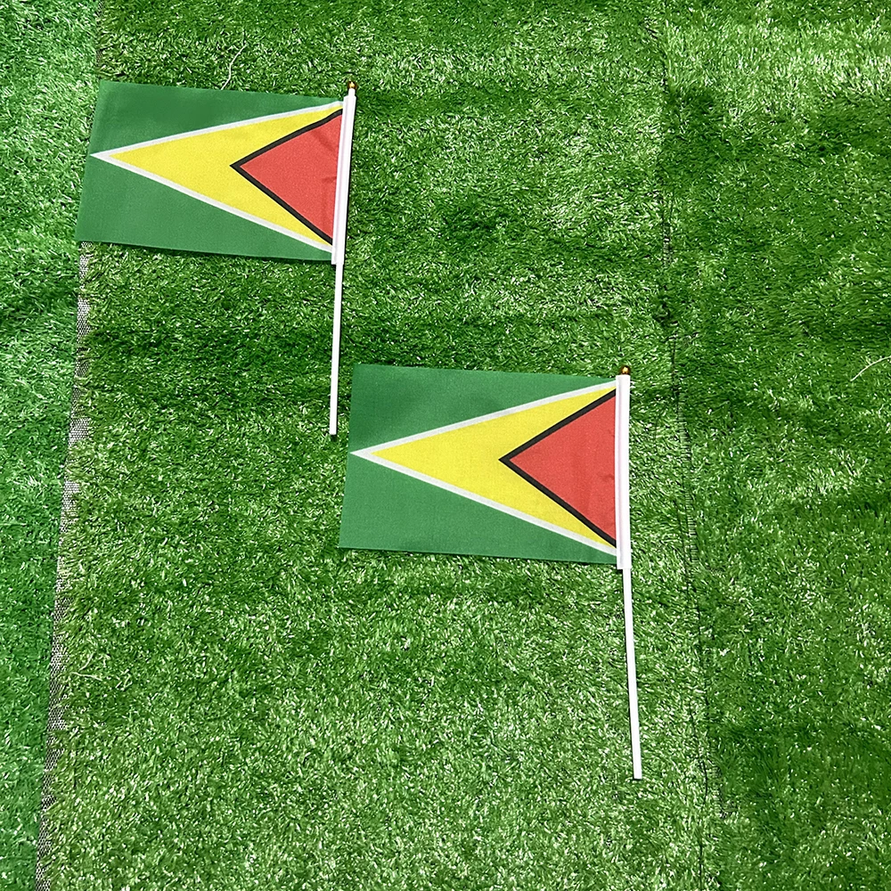 Bandera táctica Guyana con mástil deportivo y decoración manual - imagen 5
