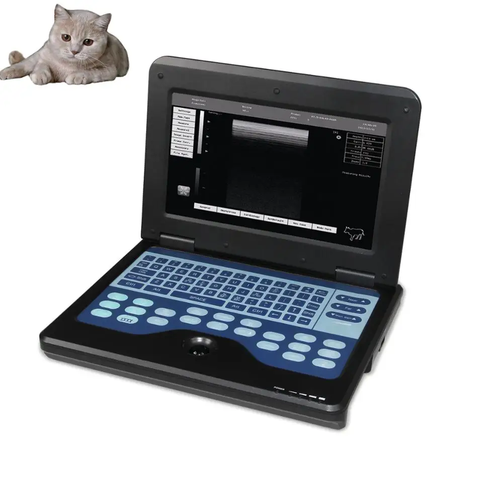 

Qinhuangdao CONTEC CMS600P2-VET Portable Animal Ultrasound Machine Veterinary Ultrasound in China