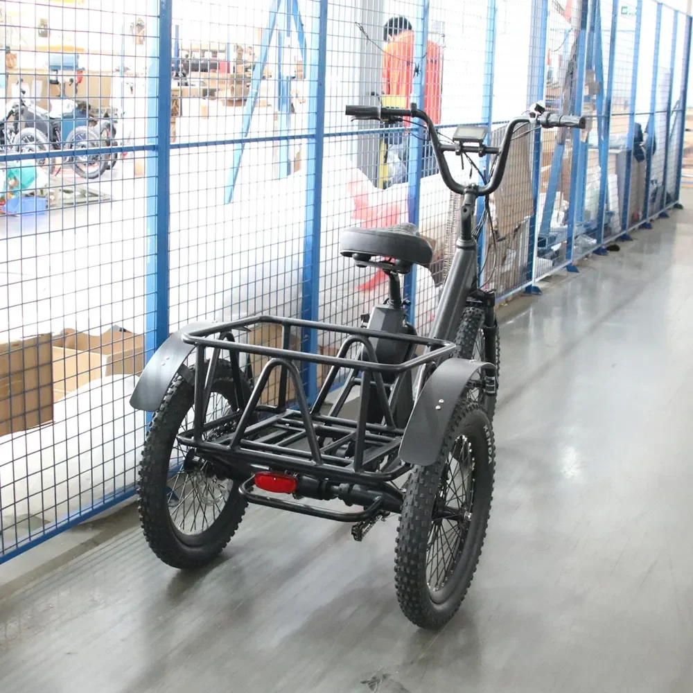 48V 15Ah Lithium Battery Aluminum Alloy Frame E-Tricycle 1000W Motor Electric Tricycle best three wheel electric bike