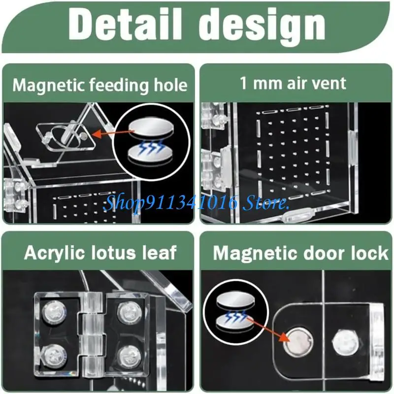  Transparent Reptiles Enclosure Safe Locking Mechanism Breeding Box for Small Pet