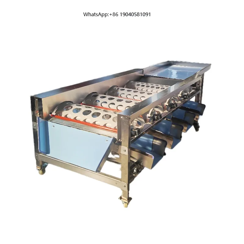Fruit Size Classification Grader Machine Industrial Sorting Unit For Dates Handling And Round Fruit Factory Production System