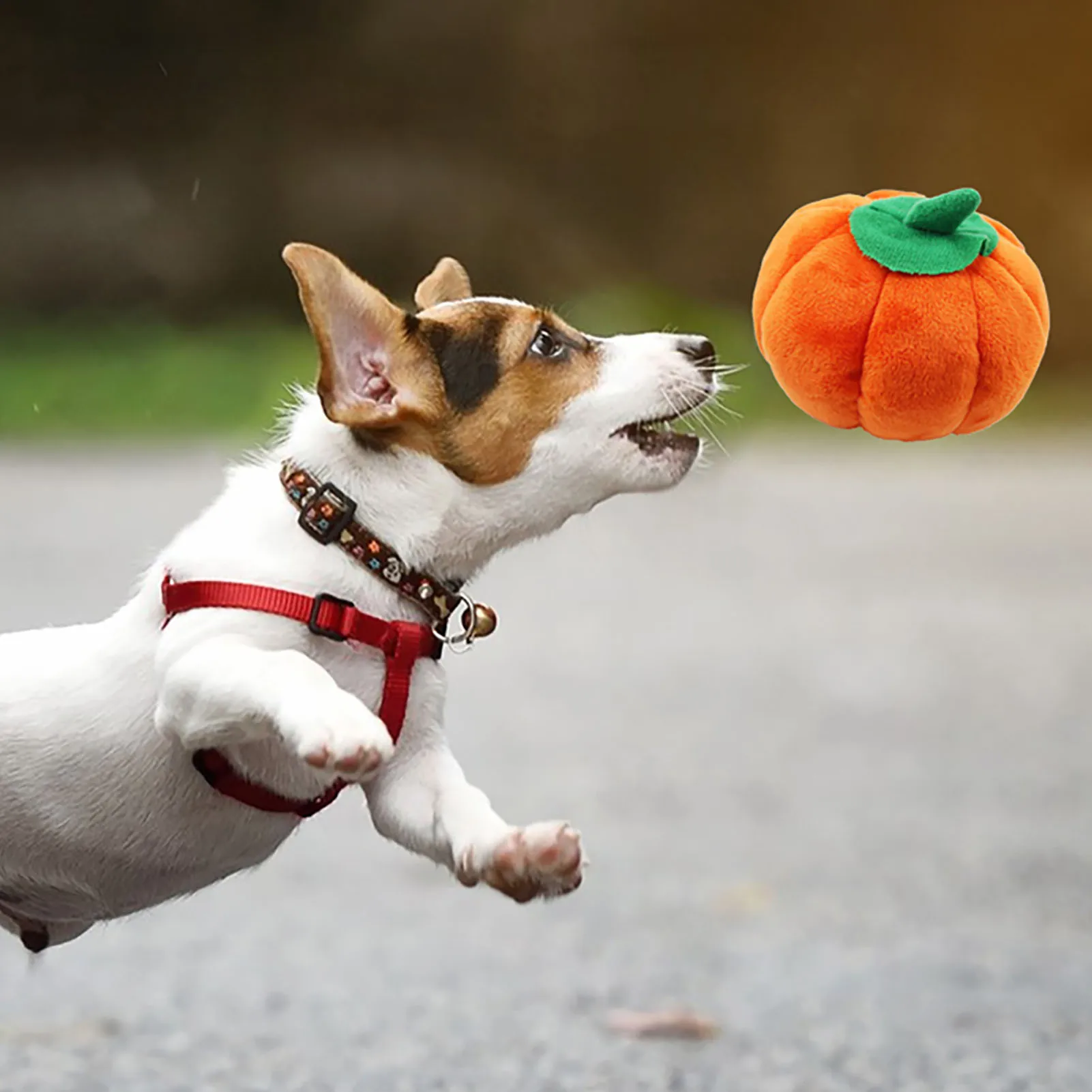 Dog Plush Toy Cute Pumpkin Shape Squeaky Bite Resistant Stuffed Dog Plush Toy For Teeth Grinding Relieve Boredom