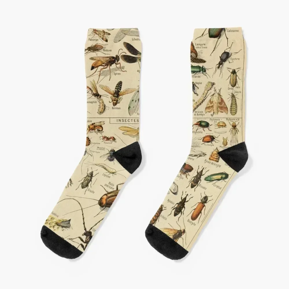 

Adolphe Millot Insectes Socks Stockings compression christmas gift bright garter aesthetic Socks Ladies Men's