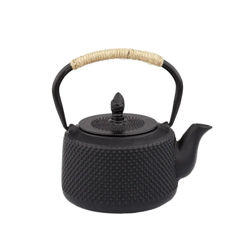 

With Stainless Steel Infuser Cast Iron Pot Teapot Rope Wrapping Handle Fast Heat Conduction Tea Kettle