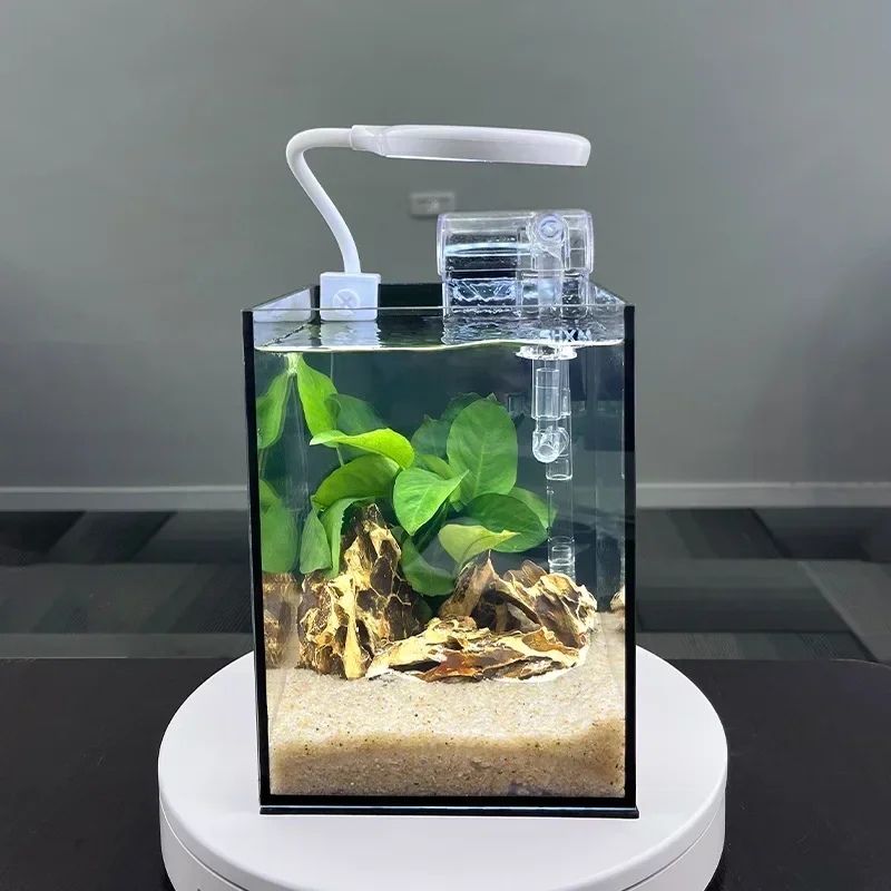 Desktop Ecological Miniature Landscape Small Fish Tank Desk Study and Bedroom Living Room Mini Small Viewing Jar