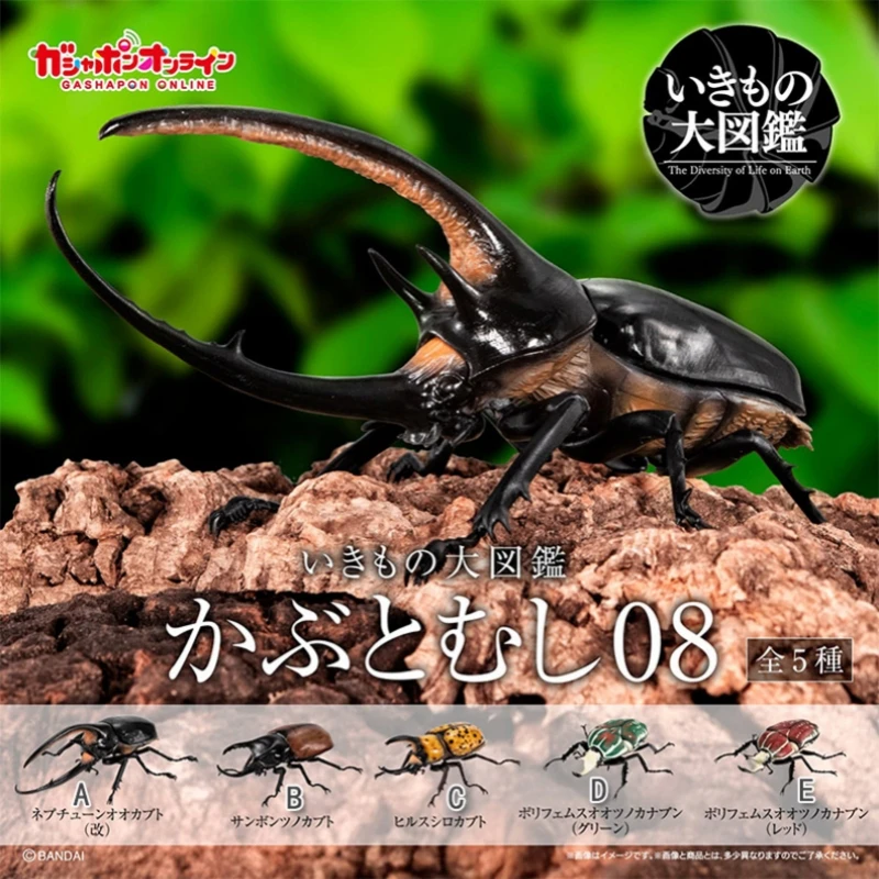 Bandai genuino huevo retorcido enciclopedia biológica escarabajo gran dipper escarabajo tortuga dorada simulación insecto ornamento modelo regalos