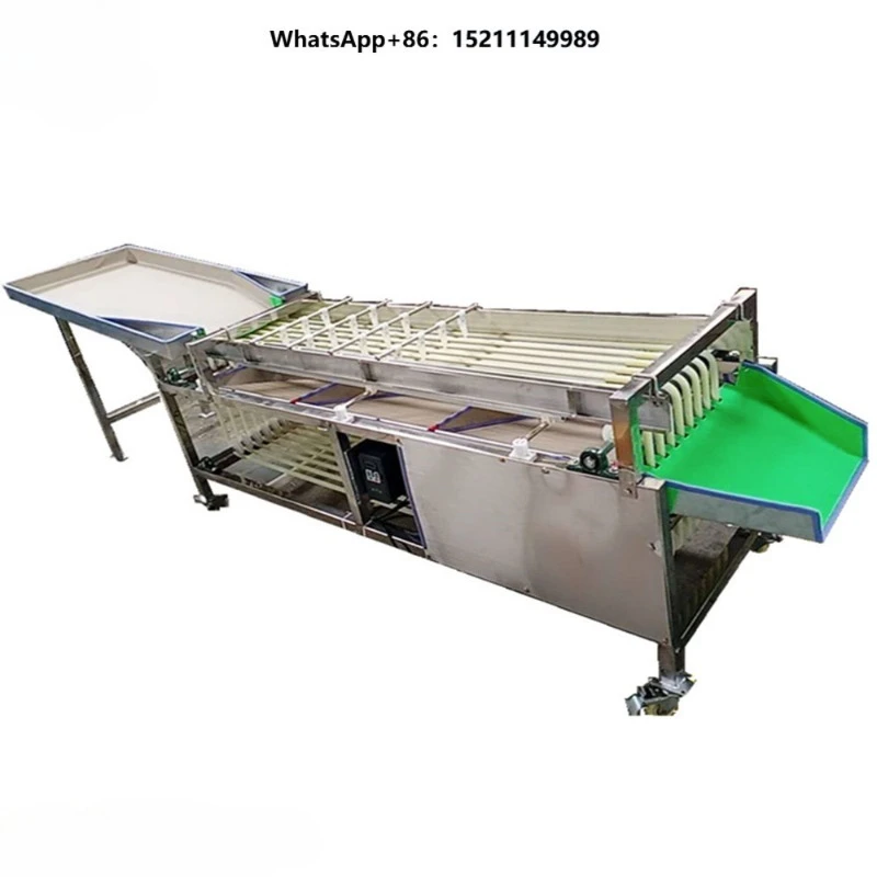 Onion Carrot Peeled Garlic Potato Vegetable Mango Passion Fruit Selection Sizing Grading Sorting Machine
