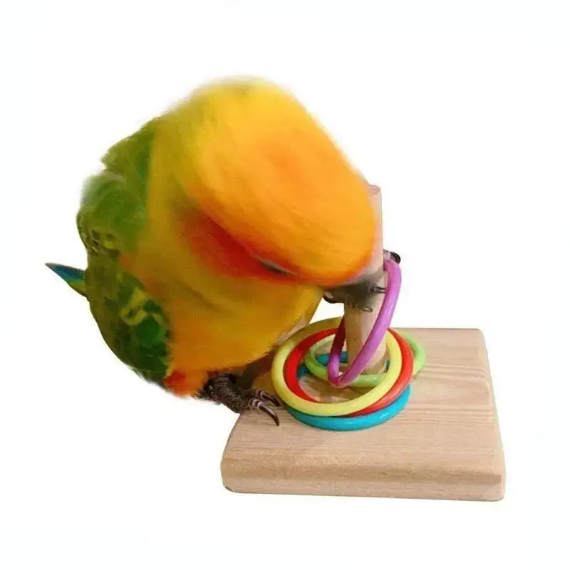 Bird Training Ring Toy Parrot Educational Interactive Accessory  Set For Enhancing Bird Skills And Playtime