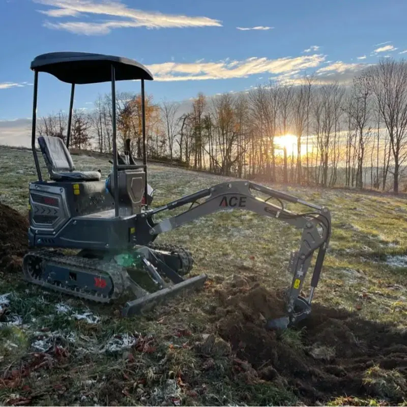 

Ce Epa Excavator 1.5 ton farm garden Kubota Mini Excavator 1 Ton Free Shipping Mini Excavator Prices with customized