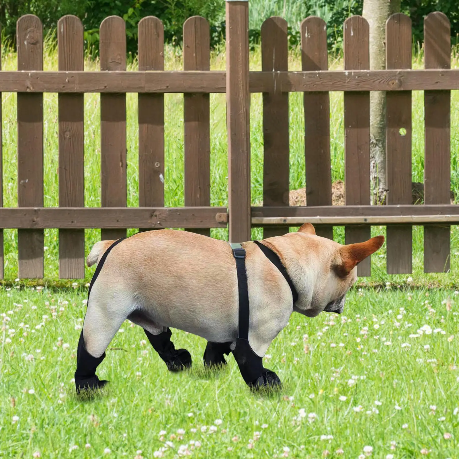 Buty na szelkach dla psów chroniące przed zabrudzeniami, legginsy dla zwierząt, ochraniacze na łapy, buty na szelkach dla buldogów francuskich, dla małych i dużych ras.
