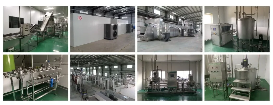 aluminum can packing energy drink production line factory price 2T/H PET bottle FRUIT PROCESSING LINE