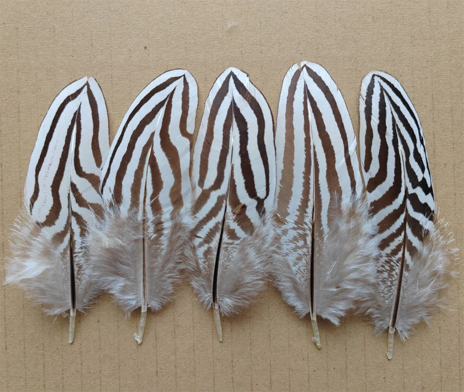 100Pcs/Lot! NATURAL Silver Wing Pheasant Feathers,Feather Headdress,Top with Feathers,Feathers Natural