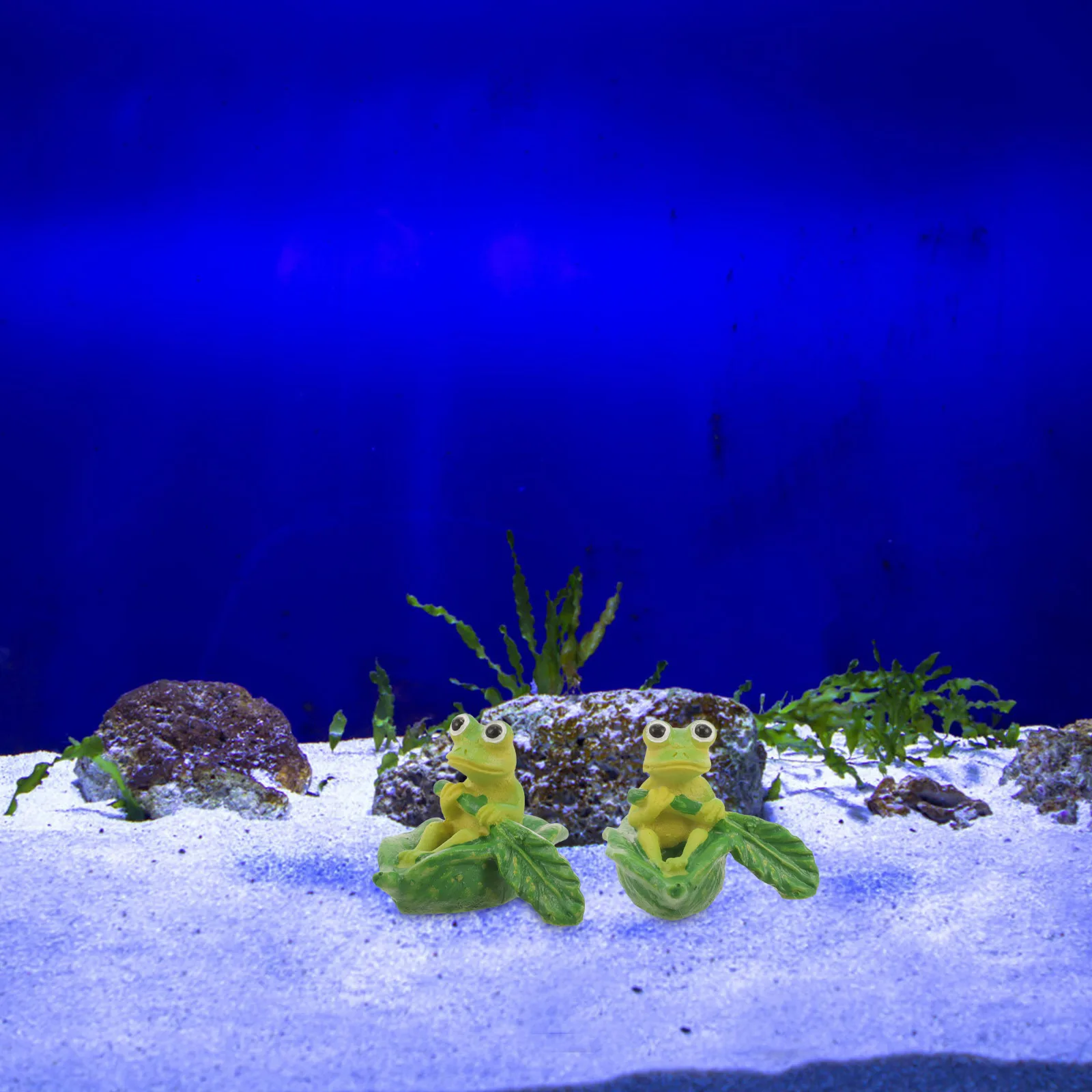 

2Pcs Resin Frog Figure Vibrant Underwater Environment Fish Tank Decoration Durable PetSafe Ornament