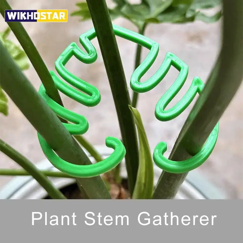 2-piece Set of Plant Stem Support Clips, Horticultural Plant Turtle Back Bamboo Support Fixator, Hydroponic Tree Branch Fixation
