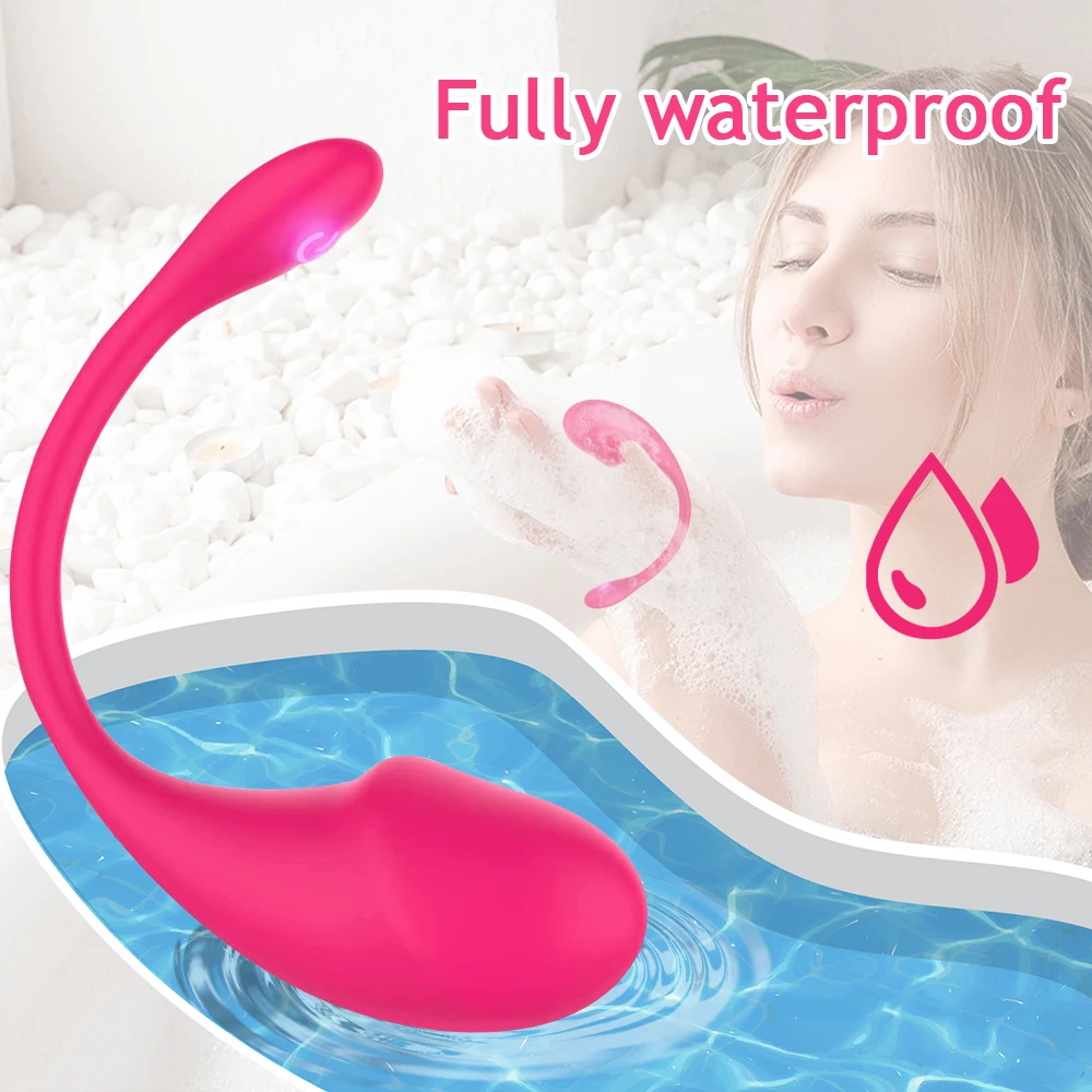 Wireless Bluetooth App Vibrator for Women Vagina G Spot Vibrating Egg Long Distance Control Panty Sex Toys for Adult Couple Game