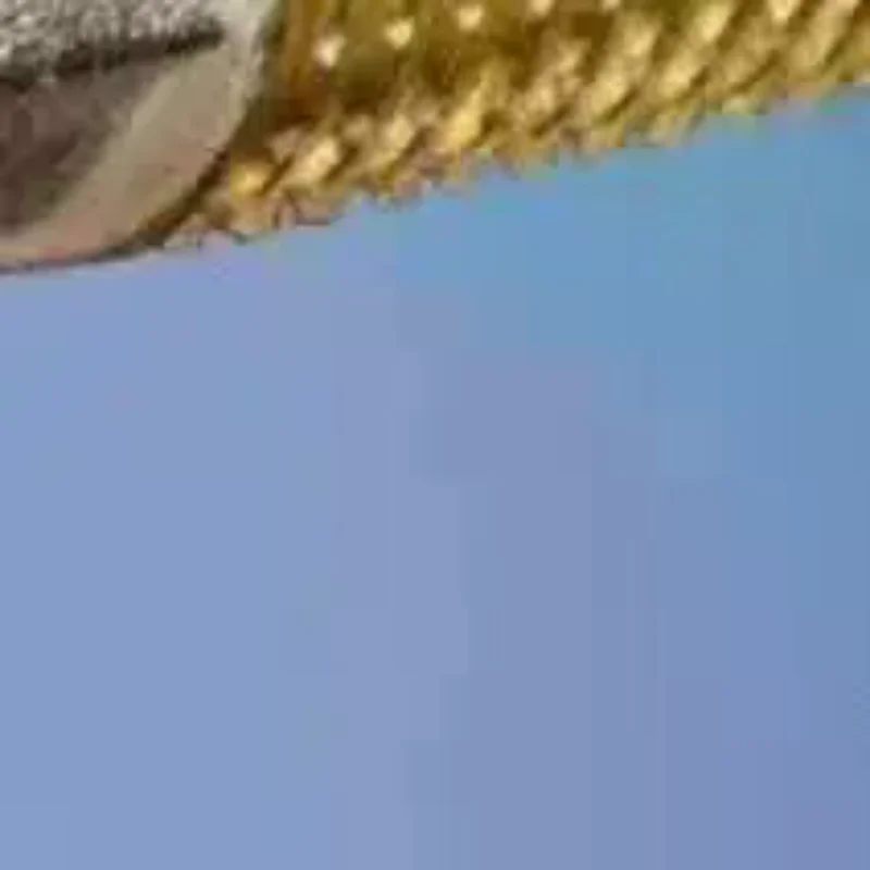 1/2/4 قطعة دائم صنبور الماء البارد سيليكون طوقا التثبيت السريع مانعة للتسرب حلقة لإحكام الإغلاق صنبور نحاسي طوقا #1