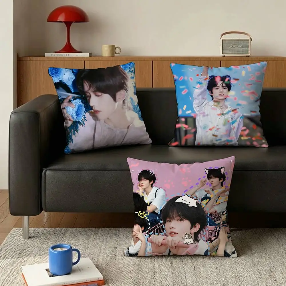 Huang Xing Eliot Huang D-Desire Various Sizes Square Pillow Case For Car Home Bedchamber Decor