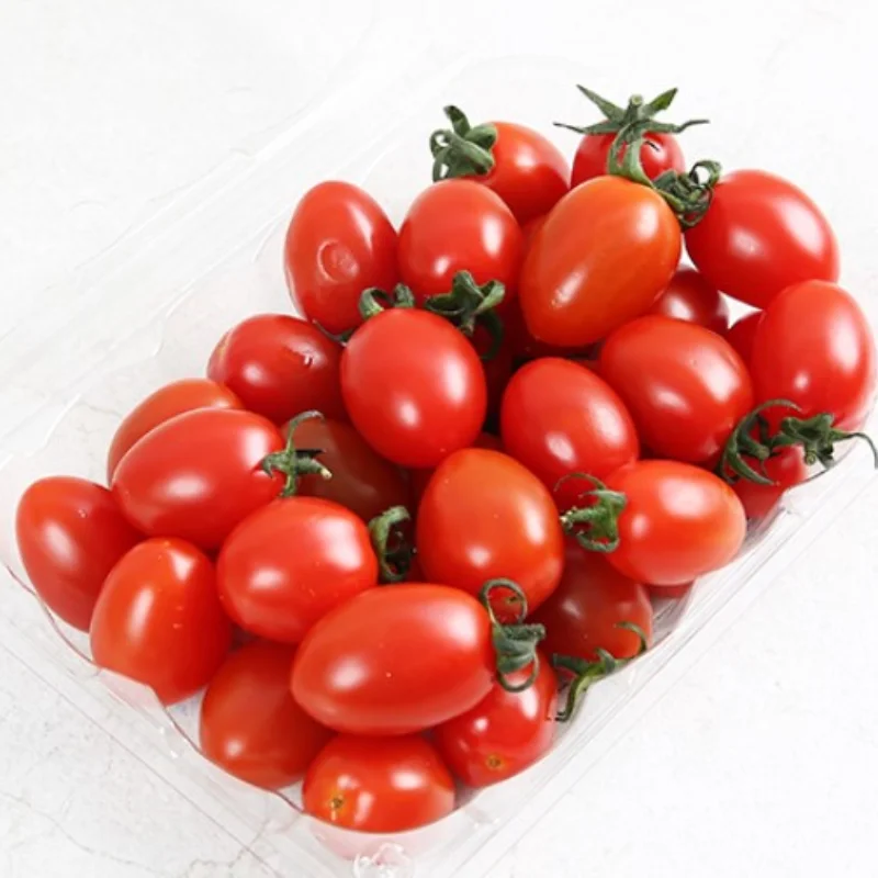 ستيفيا طماطم كرزية دانماتو أحمر 2 كجم (500 جرام × 4 عبوات)