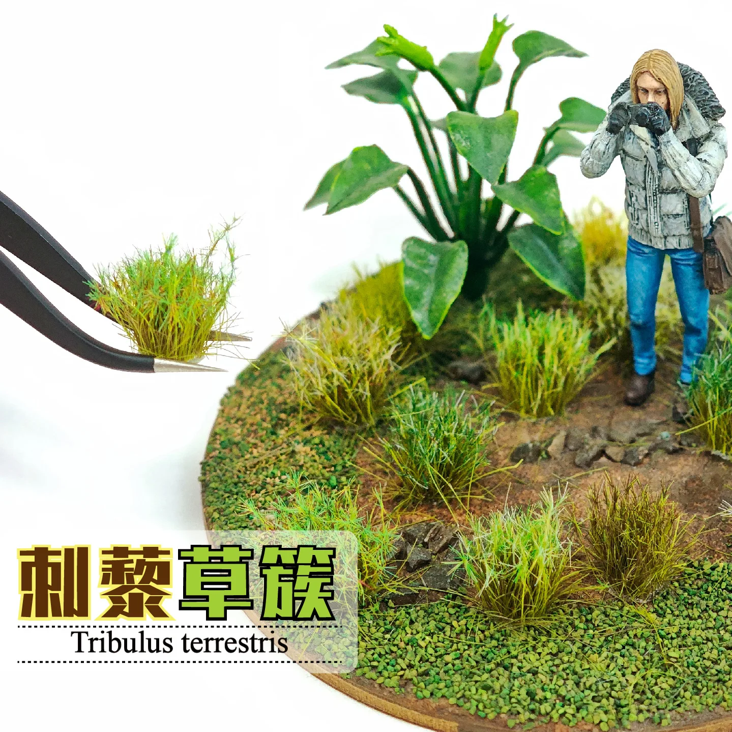 Picture 5: 13-15mm Tribulus Terrestris Static Wild Grass Cluster for Sandtable Landscape/Railway Train Layout/Garden Decoration/Diorama