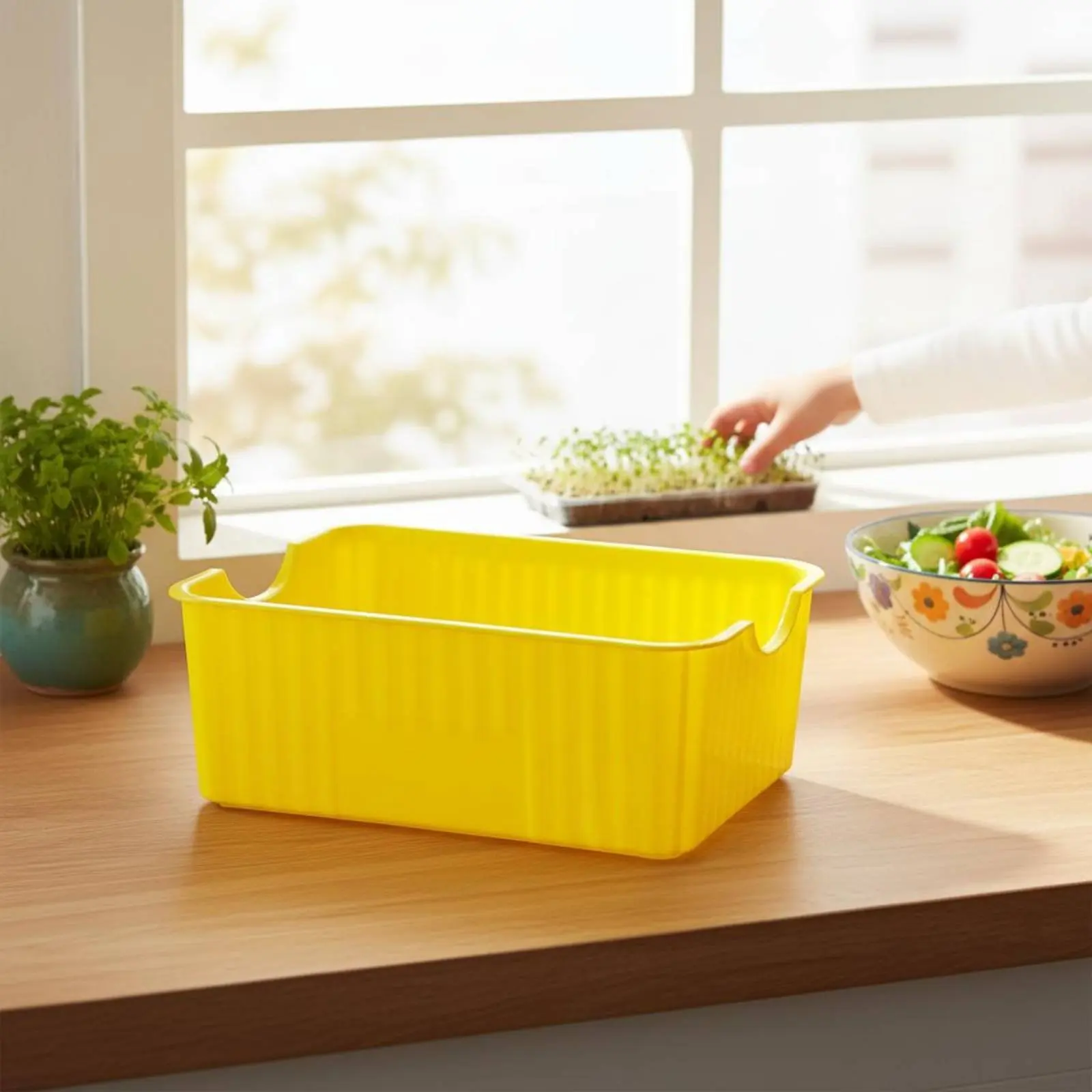 Bean Sprout Grower Box Two-Tier Design Soilless Seed Germinator Cat Grass Planter Easy to Observe Gardening Supply