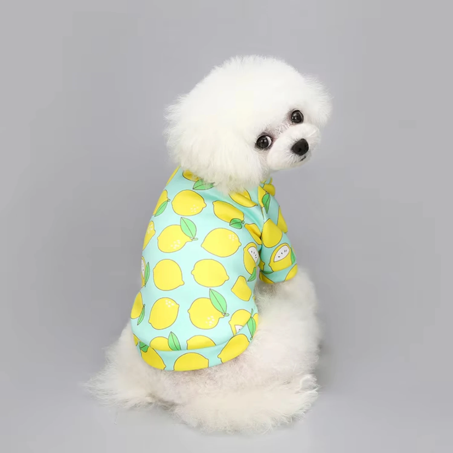 

Cute Pet Dog Clothing Cartoon Pet Clothing Coat Dog hoodie Casual Vests Cat T-shirt Puppy Dogs Clothes for Small Pets