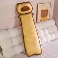 light sad cat