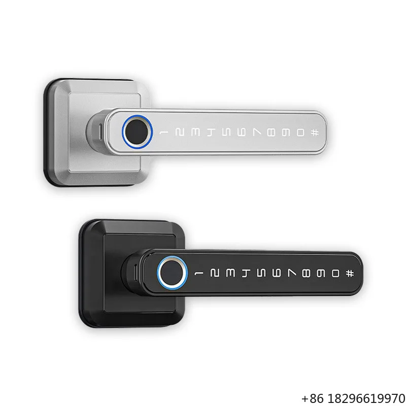 Biometric Fingerprint Smart Handle Lock  TTLock App Digital Keyless Entry Bedroom Door Knob Lever Lock for Home Office