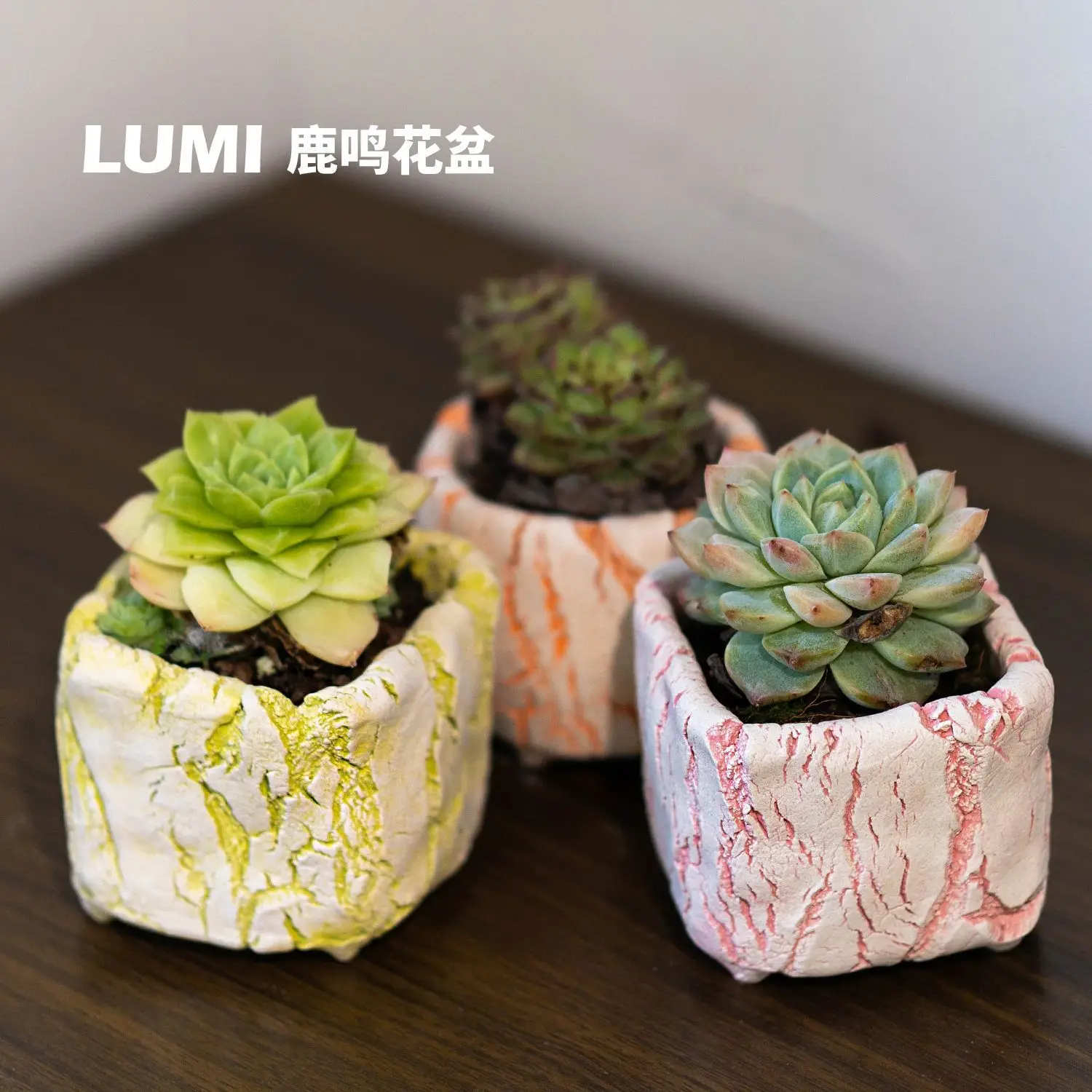 Popcorn Square Ceramic Flower Pot, Burst Square Round Mouth Phantom Bark Succulent Green Plant Flower Ceramic Pots for Plants