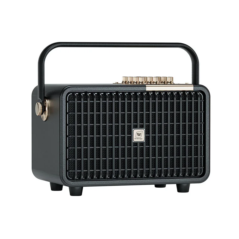 High Power 100W WInbridge L400 Portable PA Speaker with Instrument Input Karaoke