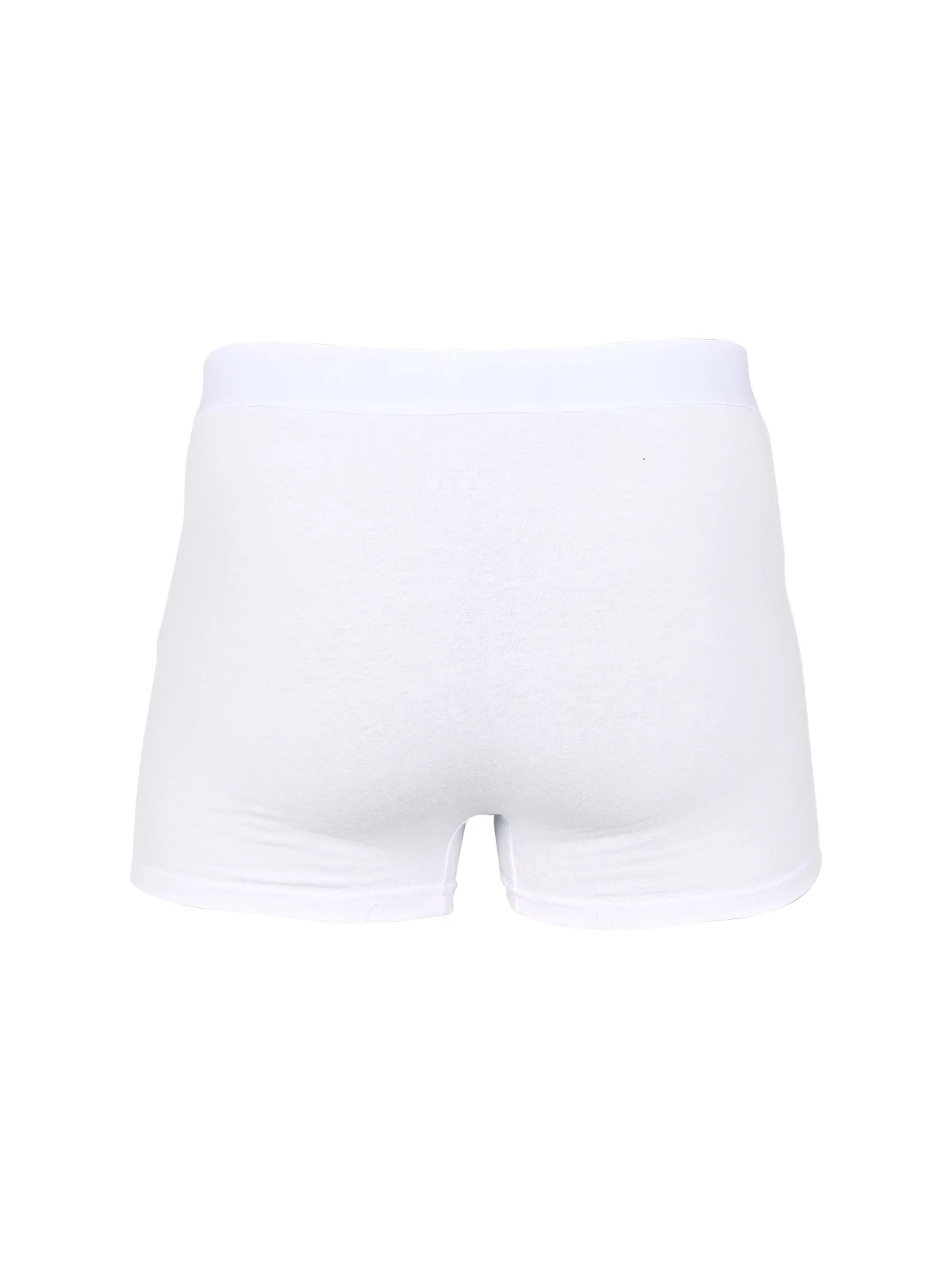 Lot de 5 culottes blanches 2024 pour hommes, sous-vêtements en Polyester, Boxer et caleçons de marque pour hommes, ensemble de luxe, boîte de short, Kit coulissant