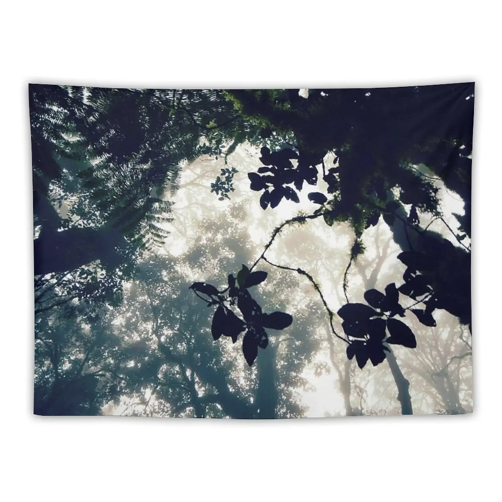 

Misty Canopy Tapestry Room Aesthetic Wall Coverings Bathroom Decor Decorations For Room Tapestry