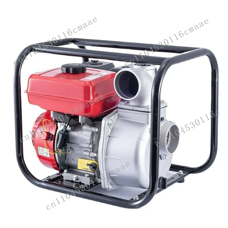 Water pump High pressure water pump Double impeller pump Small agricultural irrigation 2 inch 3 inch watering