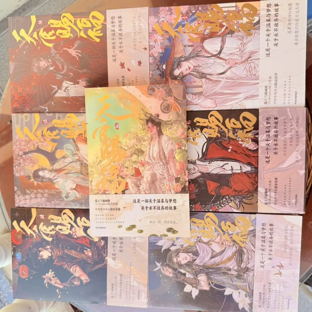 

Heaven Official's Blessing Series Manga Book Official Novel Book Hua Cheng Xie Lian Tian Guan Ci Fu BL Comic Book Livros Libros